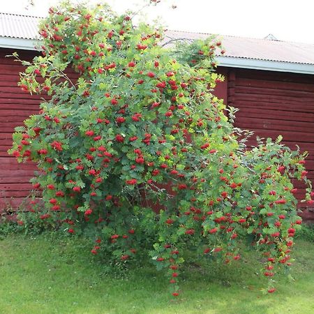 Idyllinen Kaksio Apartment Kankaanpaa Bagian luar foto