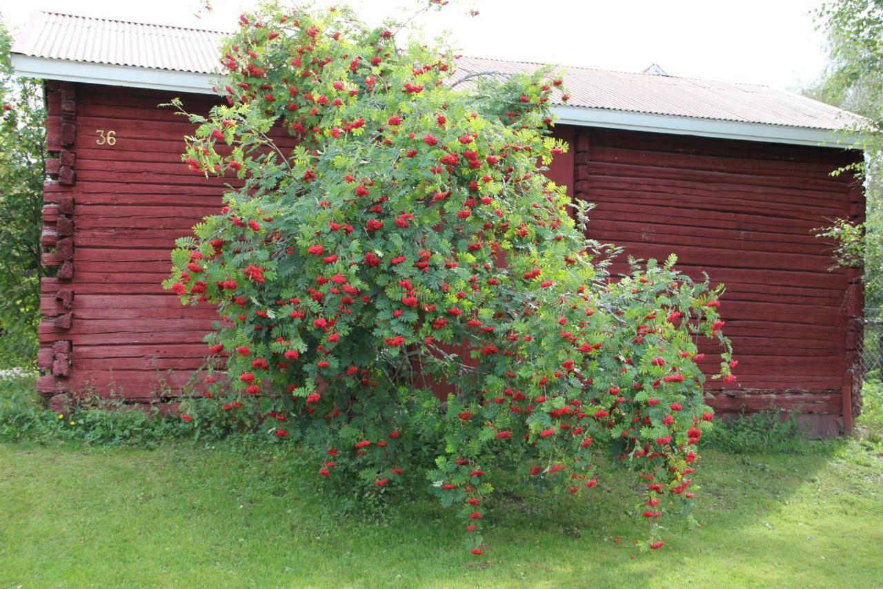 Idyllinen Kaksio Apartment Kankaanpaa Bagian luar foto